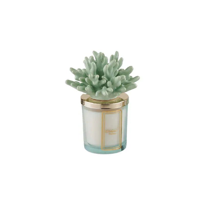 Candela Corallo Verde Salvia Melaverde Bomboniera Ceramica - The King Luxury